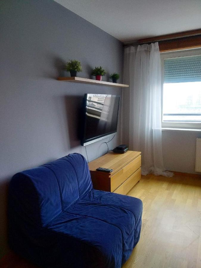 Top Loft Warsaw With Swimming Pool Apartment Luaran gambar